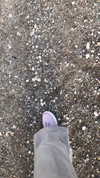 hoodifruit Altpins Profile Picture