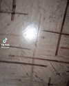 catl0verr69 Altpins Profile Picture