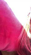 babynympho_archive Altpins Profile Picture