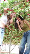 noy.razz Altpins Profile Picture