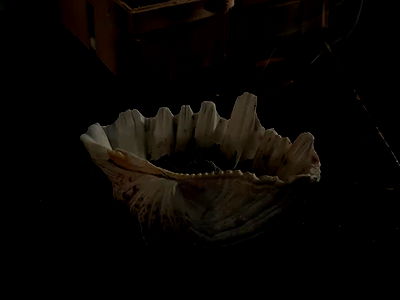 manjolamuriqi manjolamuriqi archive video