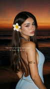 ofri.elul Altpins Profile Picture
