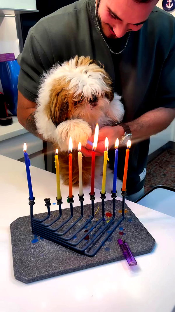 noammalka___ archive video preview