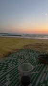 yaarat11 Altpins Profile Picture