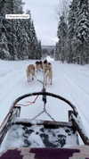 nikoleta.milenova Altpins Profile Picture