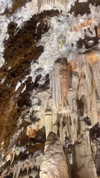 _broock_ Altpins Profile Picture