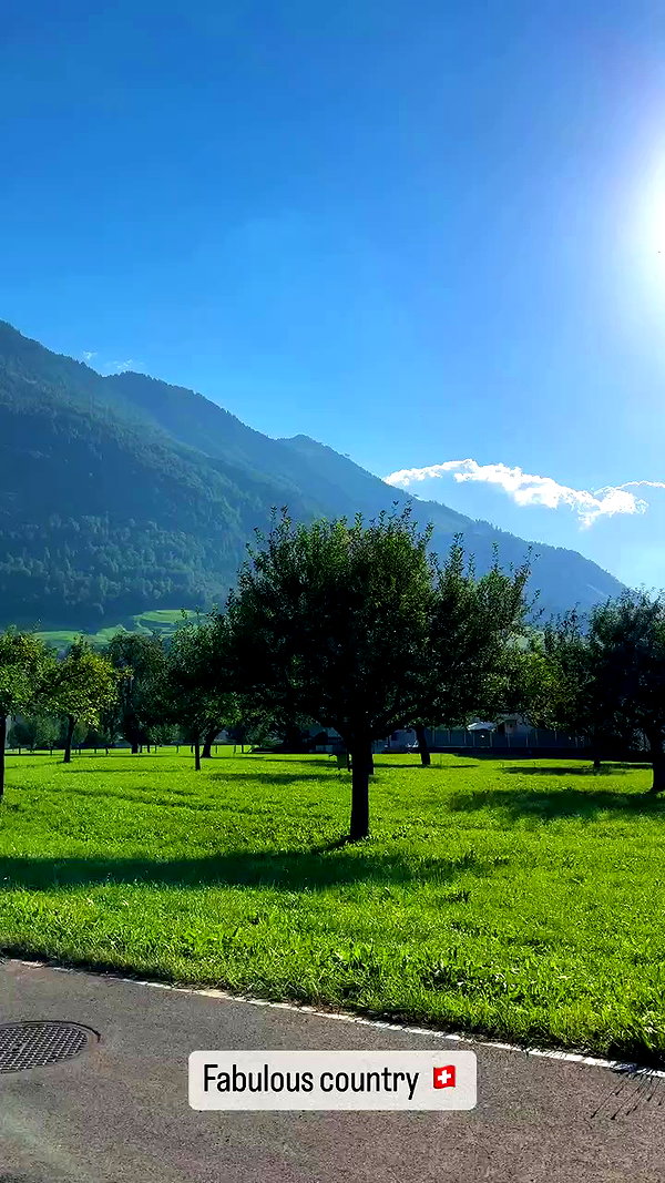 swfx_real archive video preview