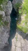 galibilaus Altpins Profile Picture