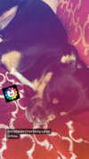 reanidays.cos Altpins Profile Picture