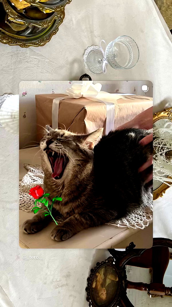 _tero._ archive video preview