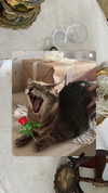 _tero._ Altpins Profile Picture