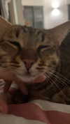 ronyida_ Altpins Profile Picture