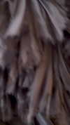 nicolekidman Altpins Profile Picture