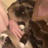 danielle.mercedie Altpins Profile Picture