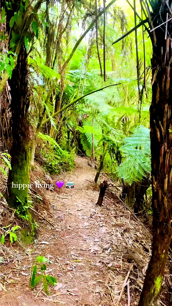 aleiisha.piixiie archive video preview