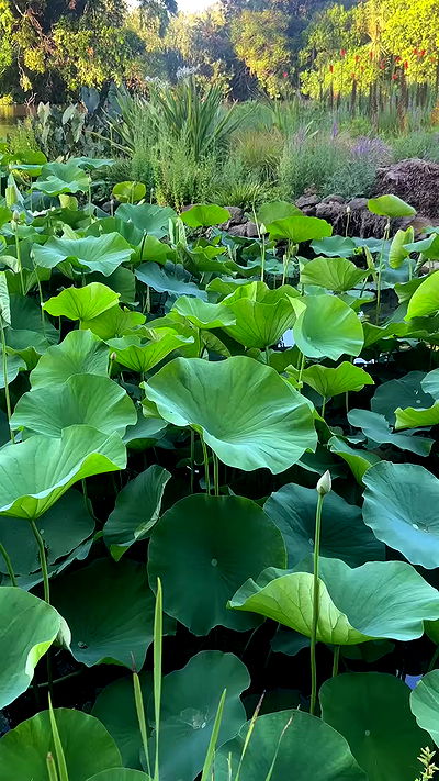 taylor.creeden taylor.creeden archive video