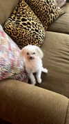 elizabethcampbelljones Altpins Profile Picture