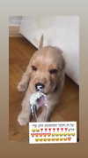 emily_new2 Altpins Profile Picture