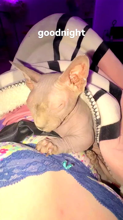 iluvmeww iluvmeww archive video