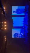 gissell_eli Altpins Profile Picture