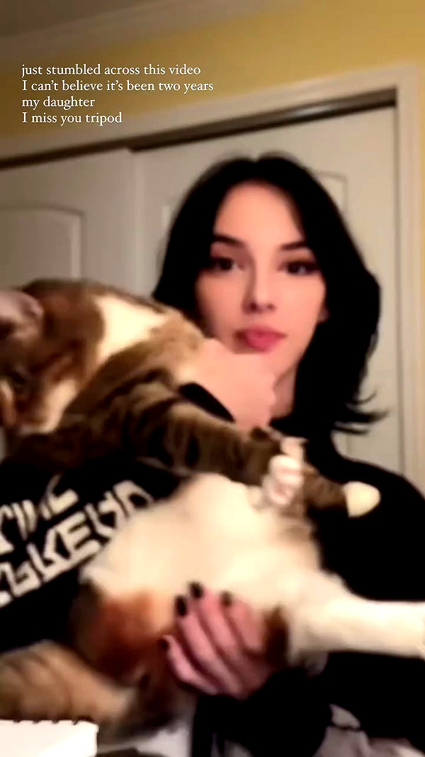 rachelchaleff archive video preview