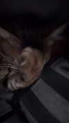 tutiiiiii666 Altpins Profile Picture