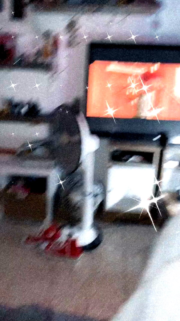 evasela__ archive video preview