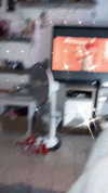 evasela__ Altpins Profile Picture