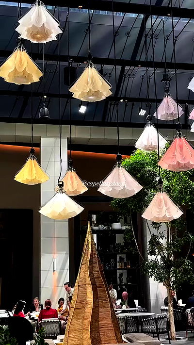 taylor.creeden taylor.creeden archive video