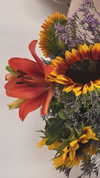 aviyabrami_ Altpins Profile Picture