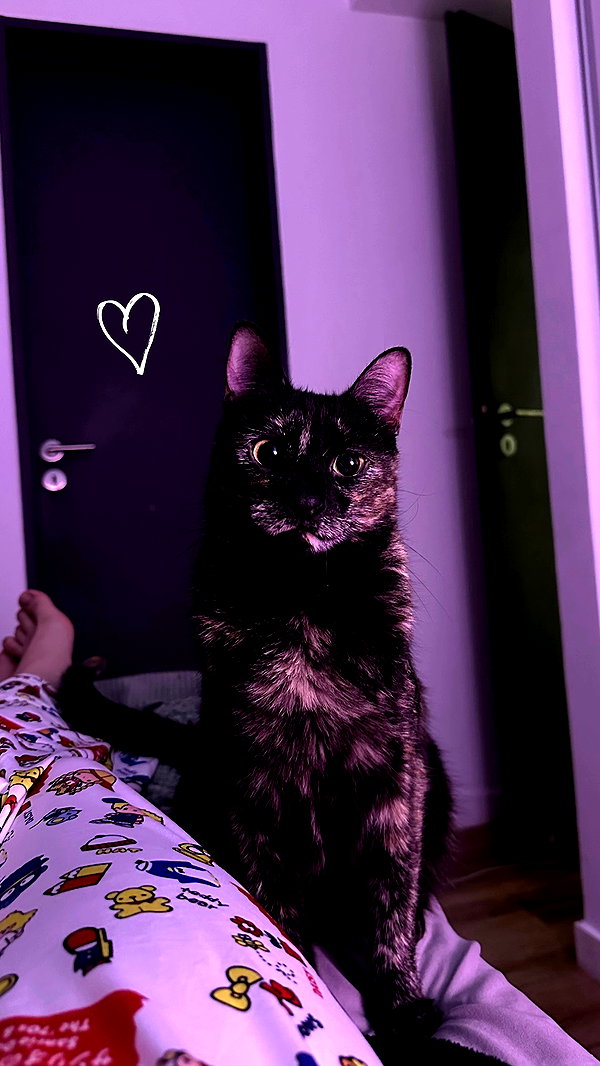 littlemiauwu archive video preview