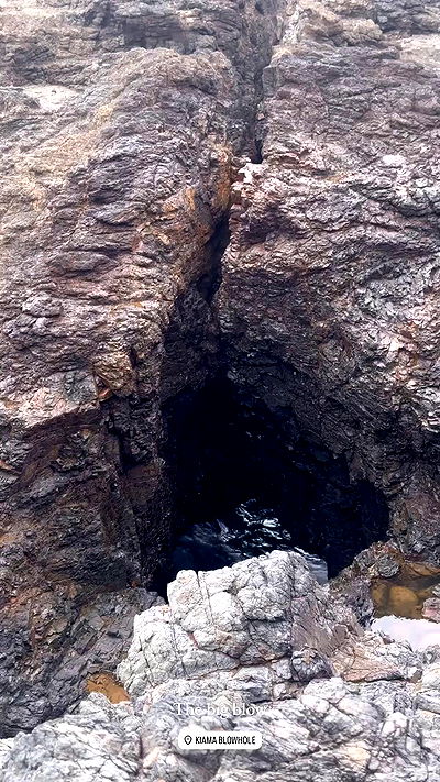 taylor.creeden taylor.creeden archive video