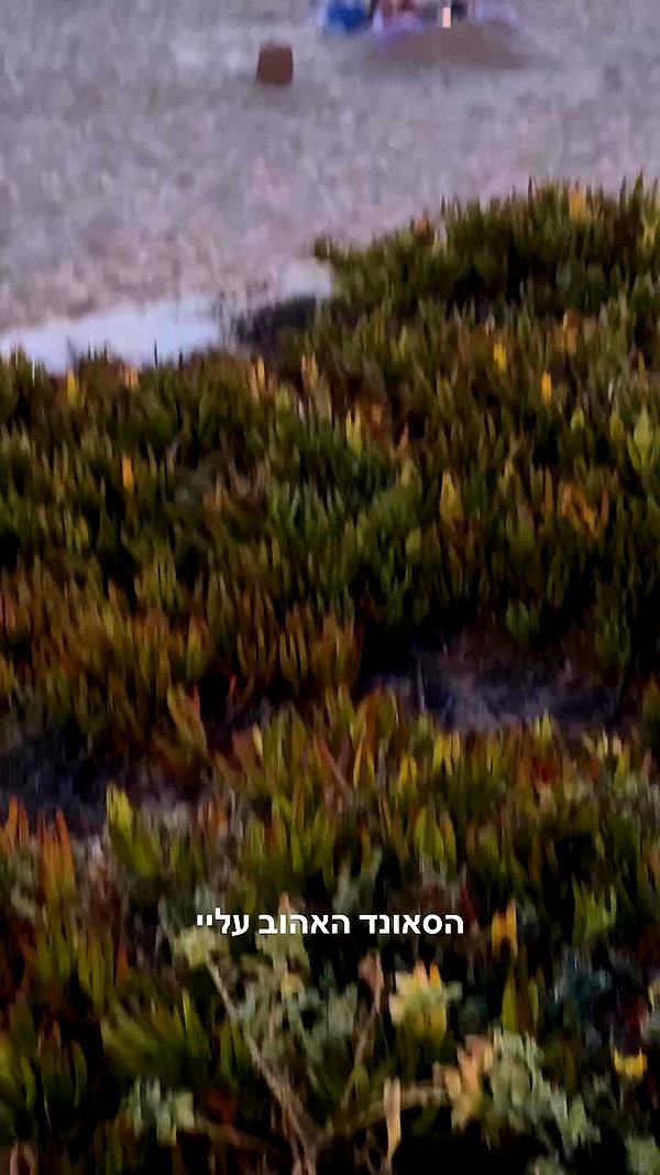 lital.oss archive video preview