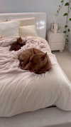 olivia.mathers Altpins Profile Picture