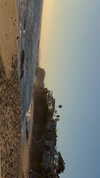 orman.mariee Altpins Profile Picture