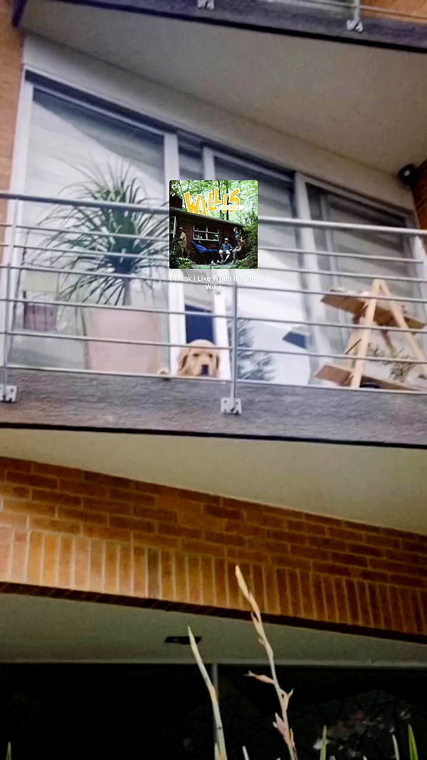 solzarubin_ archive video preview