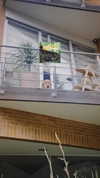 solzarubin_ Altpins Profile Picture