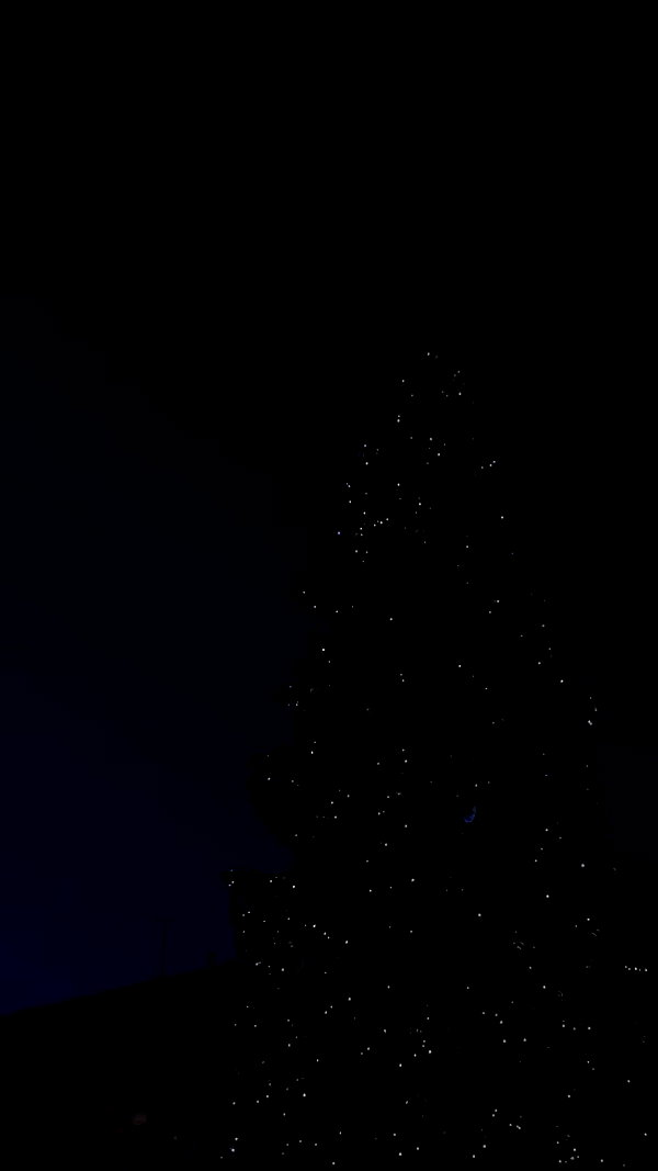 annabottoo archive video preview