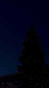 annabottoo Altpins Profile Picture