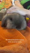 _broock_ Altpins Profile Picture