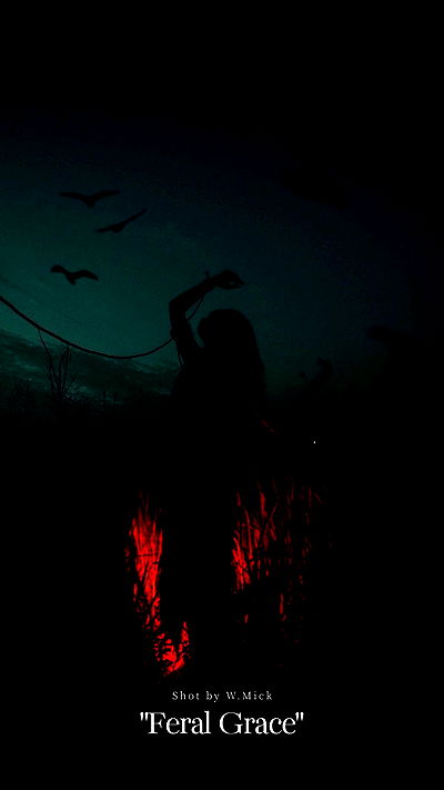 ting851204 ting851204 archive video