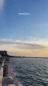 sonia_litvanchuk Altpins Profile Picture