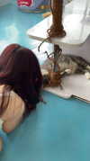 mellisachristiee Altpins Profile Picture
