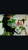 lyra.car Altpins Profile Picture