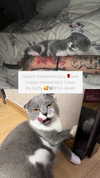 275.cn Altpins Profile Picture