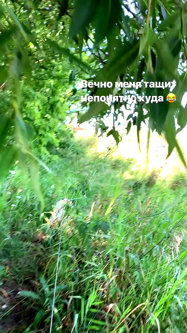 nyityam archive video preview