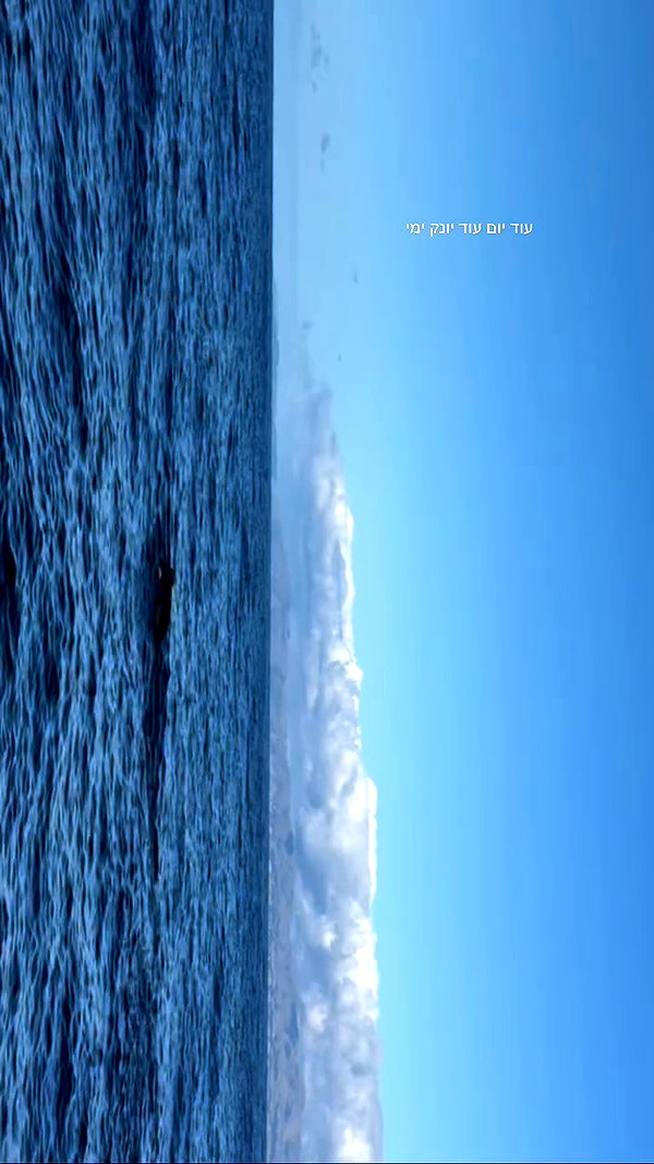 maori_cohen archive video preview