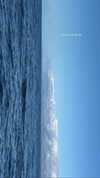 maori_cohen Altpins Profile Picture