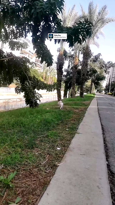 tinapavlov.sky tinapavlov.sky archive video