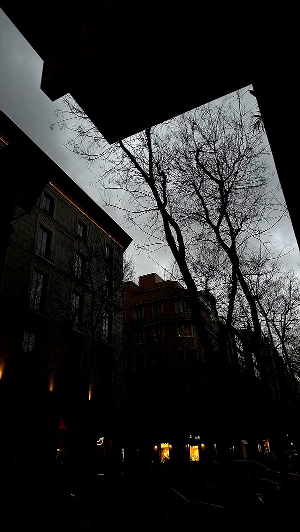 ruth_chavarri archive video preview